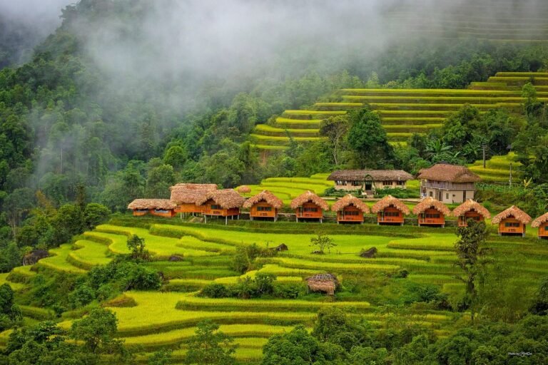 Discover Tranquility at Paddy View Resort
